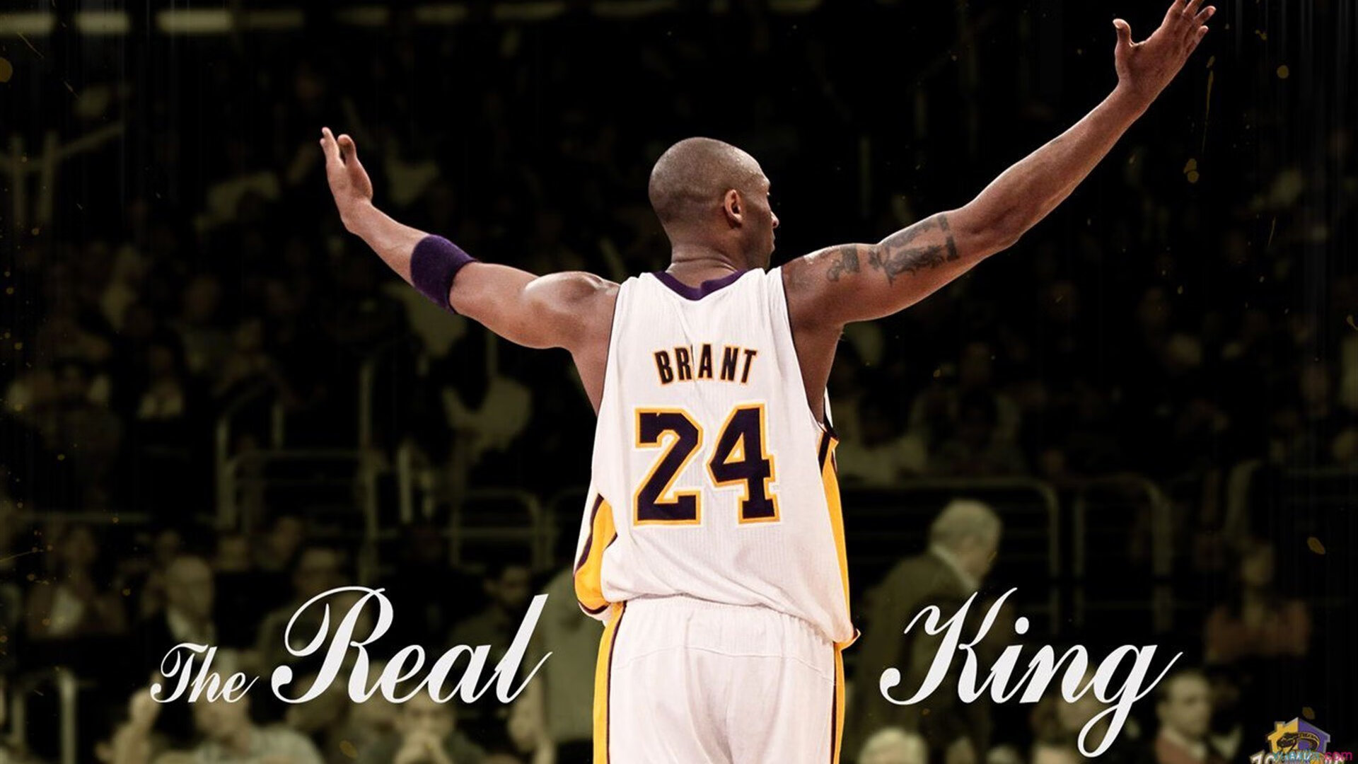 武术进校园活动融合地域特色文化，武术进校园活动报道