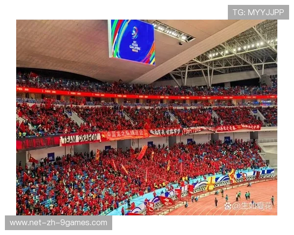 观众互动：看台区气氛火爆，看台区是什么意思